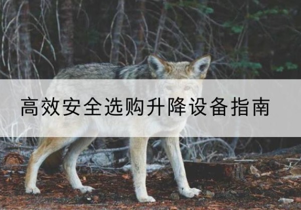 邹城升降货梯厂家推荐-*安全选购升降设备指南