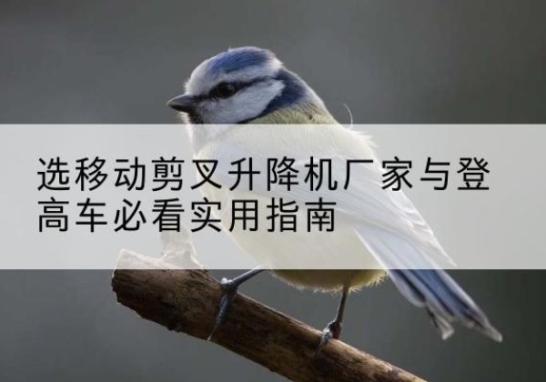 邹城电动升降机厂家-选移动剪叉升降机厂家与登高车必看实用指南