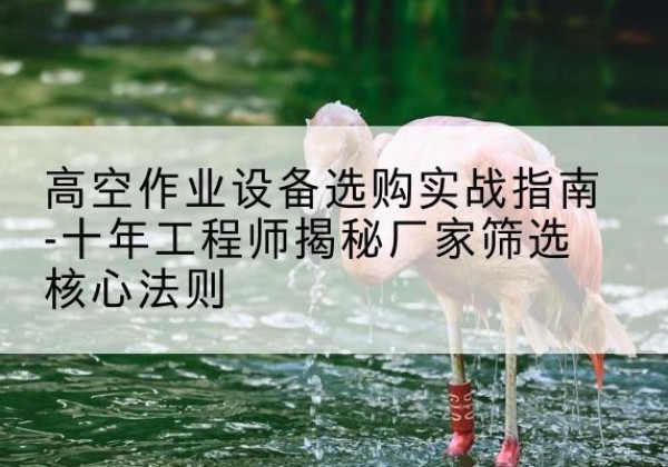 邹城剪叉式升降机厂家-高空作业设备选购实战指南-十年工程师揭秘厂家筛选核心法则